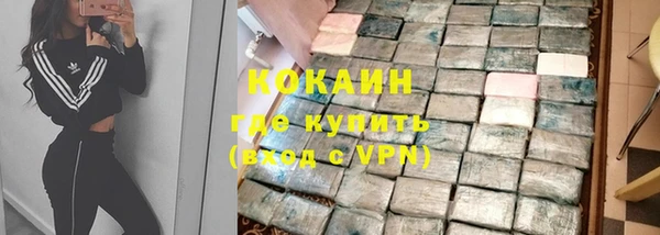 стаф Вязьма