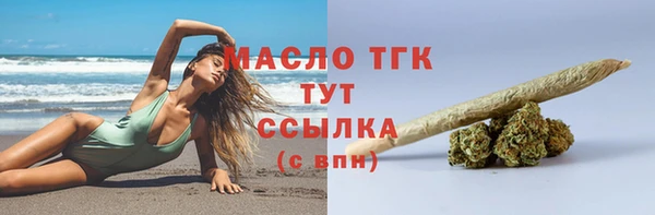 стаф Вязьма