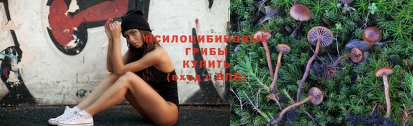 не бодяженный Вяземский