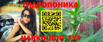 сатива Заводоуковск