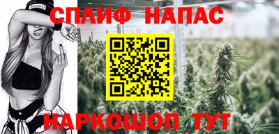 бошки Жуковский
