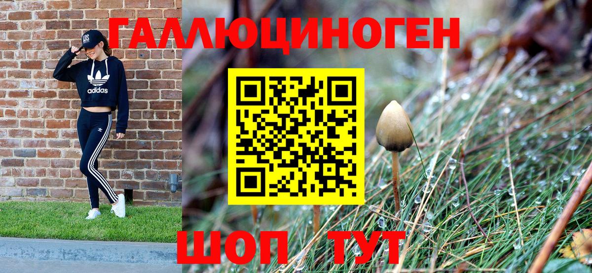 Псилоцибиновые грибы ЛСД Керчь